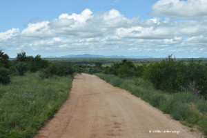 Unterwegs im Kruger NP